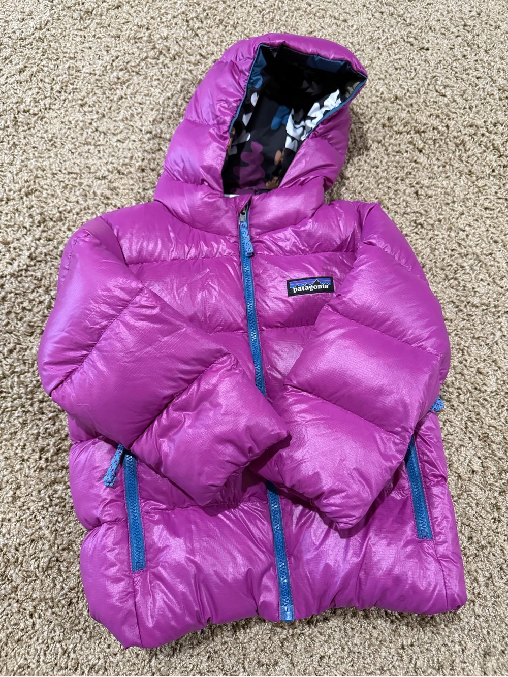 Patagonia Hi-Loft Down Sweater™ Hoody